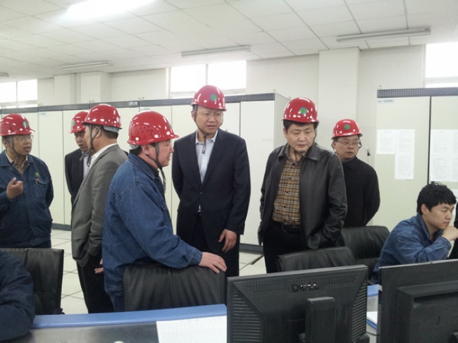 市国资委领导带队到安徽华塑拼搏在线官方网站-拼搏（中国）考察电石项目