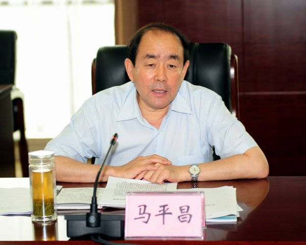 市委书记马平昌来拼搏在线官方网站-拼搏（中国）公司调研