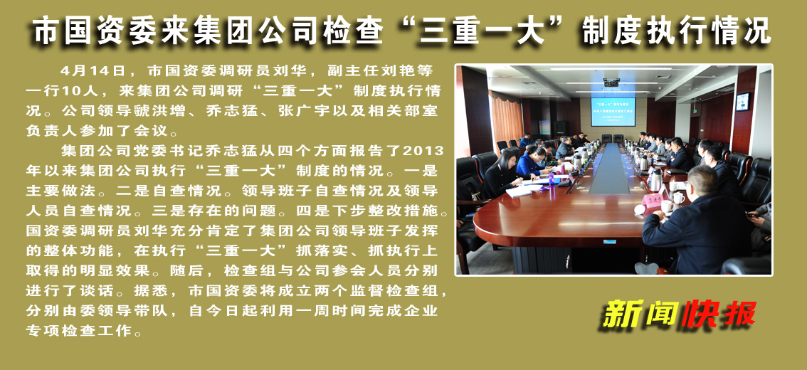 【图文】市国资委到拼搏在线官方网站-拼搏（中国）公司检查“三重一大”制度执行情况