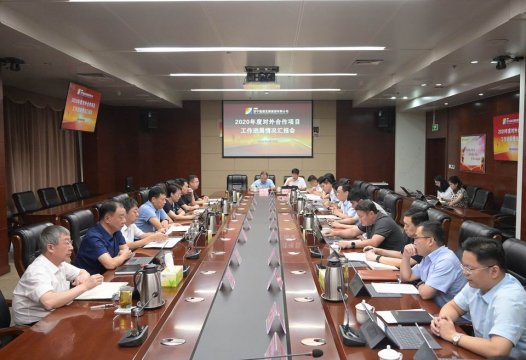 拼搏在线官方网站-拼搏（中国）公司召开2020年对外合作项目工作进展情况汇报会
