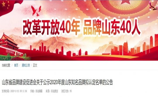 喜讯丨拼搏在线官方网站-拼搏（中国）公司科技平台建设屡获佳绩