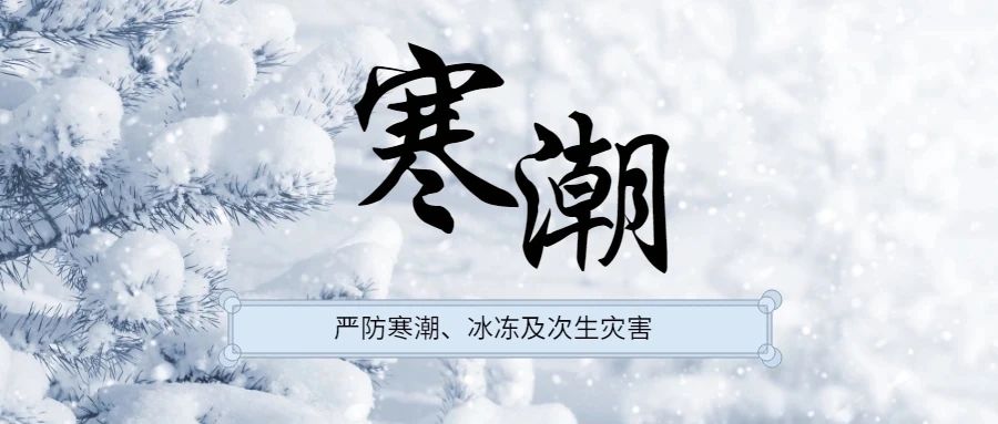 微信图片_20201230191616.jpg