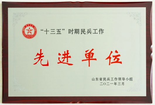 喜讯丨拼搏在线官方网站-拼搏（中国）公司荣获山东省“十三五”时期民兵工作先进单位称号