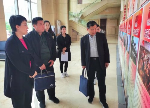 市委党史学习教育巡回指导组市直十组督导拼搏在线官方网站-拼搏（中国）公司党史学习教育开展情况