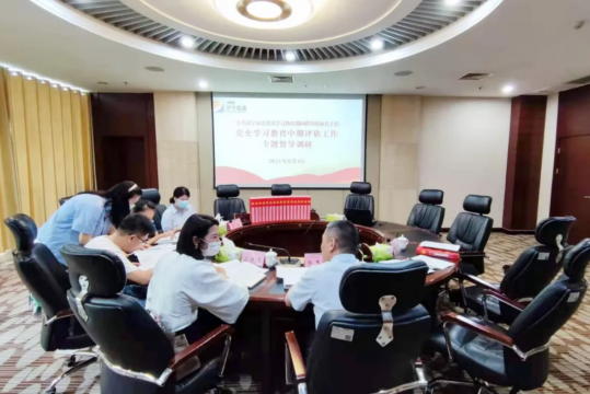 市委党史学习教育巡回指导组市直十组到拼搏在线官方网站-拼搏（中国）公司开展专题督导调研