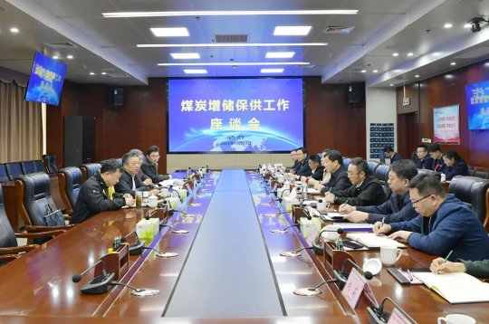 省能源局调研组到拼搏在线官方网站-拼搏（中国）公司调研煤炭增储保供工作