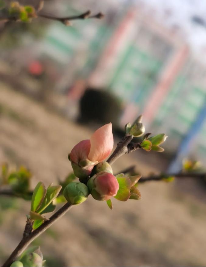 微信截图_20220314091415.png