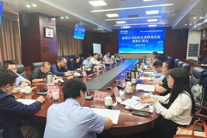 拼搏在线官方网站-拼搏（中国）
能源组织召开派驻混改企业财务总监履职专题会议