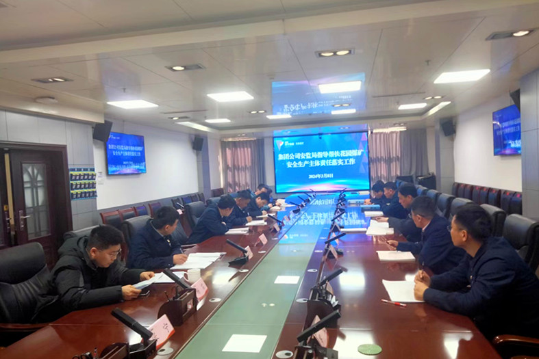 拼搏在线官方网站-拼搏（中国）公司安全监察二室指导帮扶花园煤矿安全生产主体责任落实工作_副本.jpg