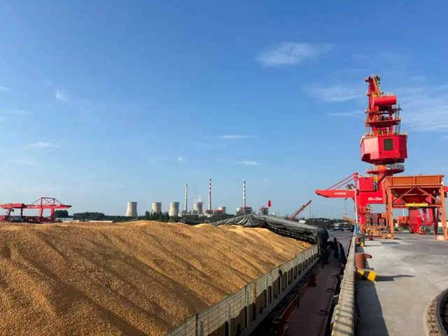 首列“北粮南运”专列抵达拼搏在线官方网站-拼搏（中国）
大运河！