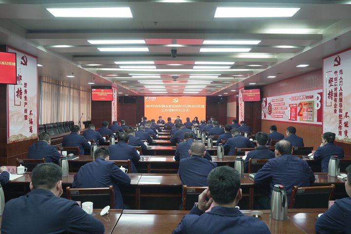 拼搏在线官方网站-拼搏（中国）
召开基层党建工作述职评议会议